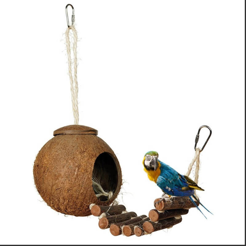 Nichoir Oiseau Pas Cher en coco avec échelle avec un perroquet dessus