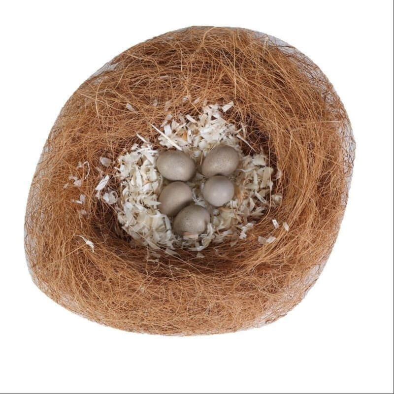 Nid Pour Les Oiseaux en poils de coco avec des œufs et des plumes dedans