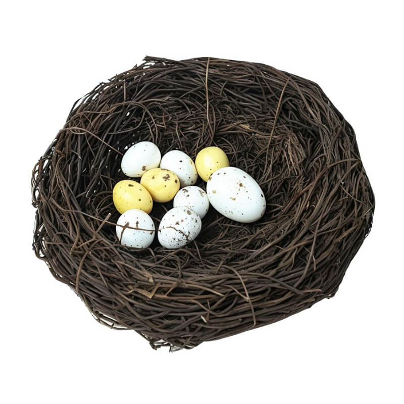 Nid Pour Oiseaux Jardin avec des œufs dedans