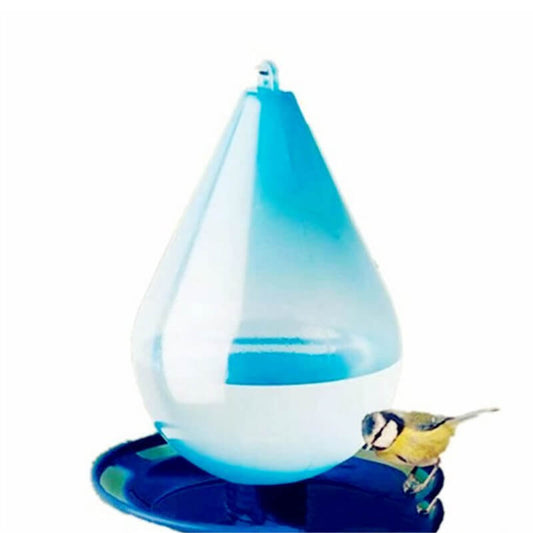 Abreuvoir Pour Oiseaux Du Jardin avec oiseau dessus