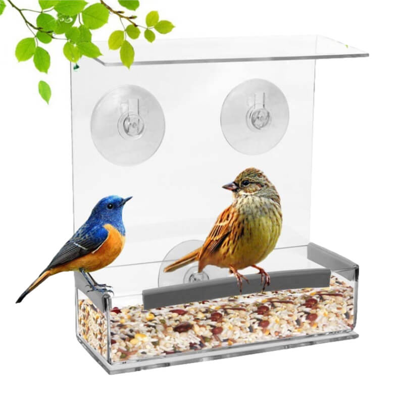 Mangeoire Oiseaux Pour Fenêtre avec 2 oiseaux dessus