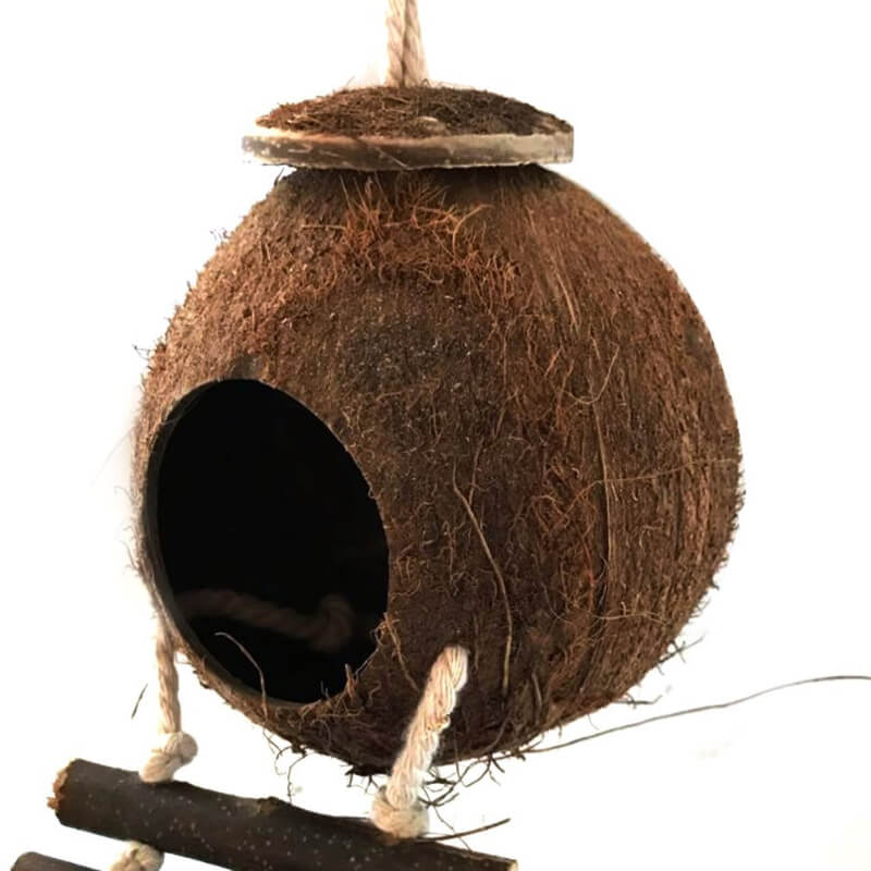 Nichoir Oiseau Pas Cher en coco
