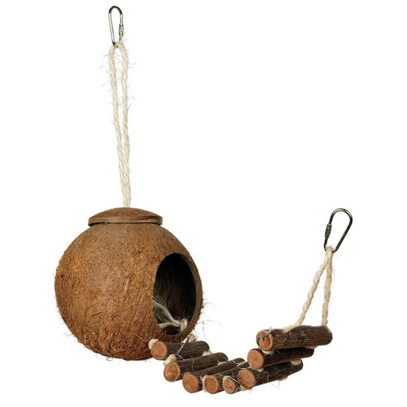 Nichoir Oiseau Pas Cher en coco avec échelle