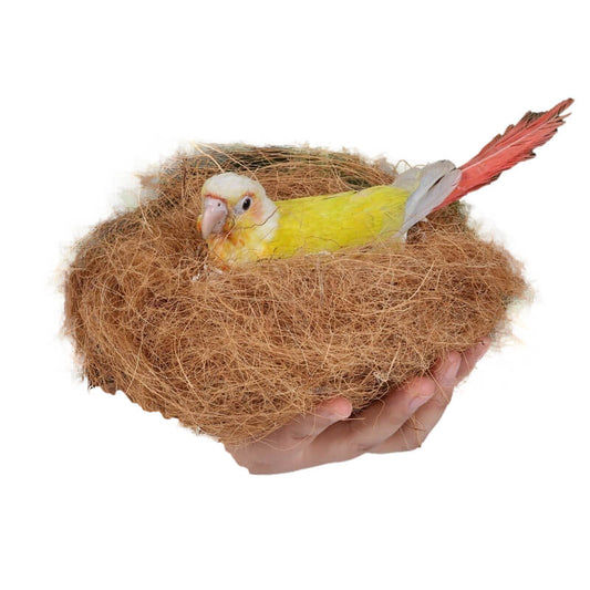 Nid Pour Les Oiseaux en poils de coco