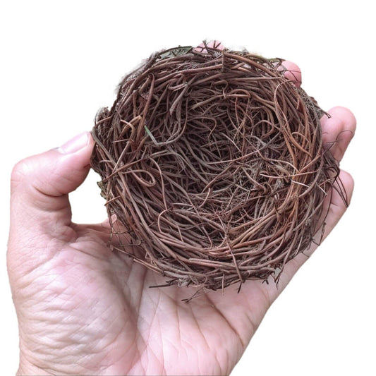 Nid Pour Oiseaux Jardin 10 cm